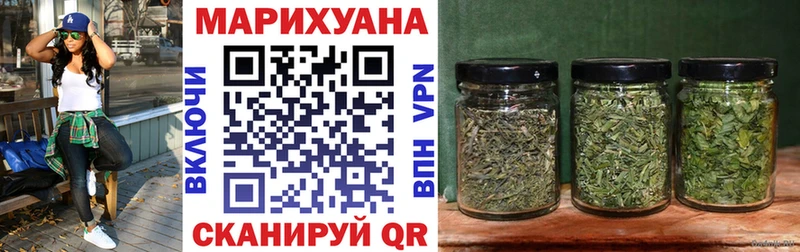 APVP Сасово