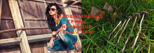 бутират Дмитриев