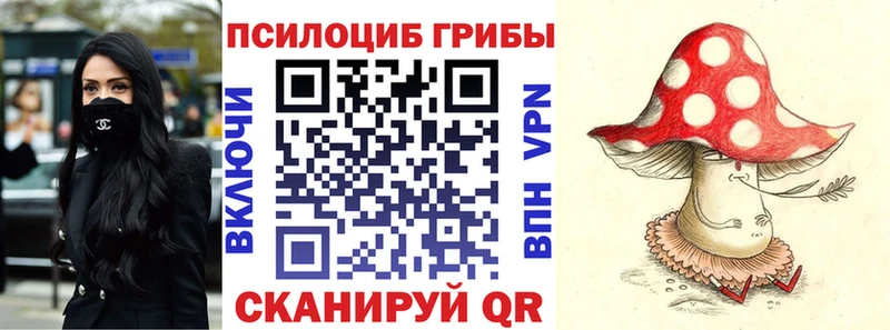 Купить закладки  Сасово  Псилоцибиновые грибы прущие грибы 
